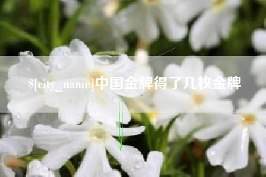 宜春中国金牌得了几枚金牌
