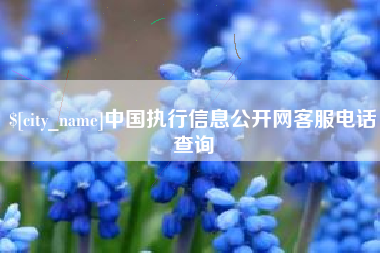 宜春中国执行信息公开网客服电话查询