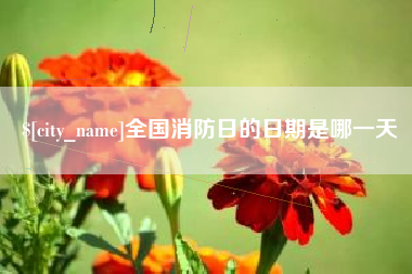 宜春全国消防日的日期是哪一天