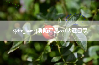 宜春消防产品cccf认证目录