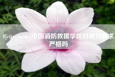 宜春中国消防救援学院对视力要求严格吗