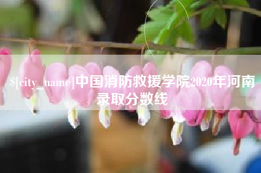 宜春中国消防救援学院2020年河南录取分数线