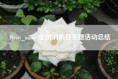 宜春全国消防日主题活动总结
