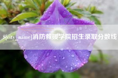 宜春消防救援学院招生录取分数线