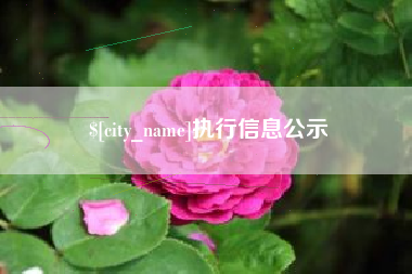 宜春执行信息公示