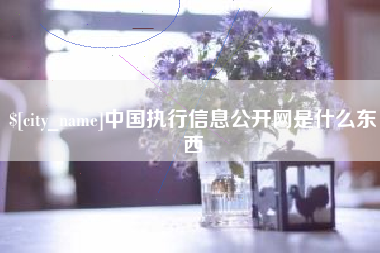 宜春中国执行信息公开网是什么东西