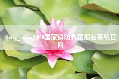 宜春2020国家消防救援报名系统官网