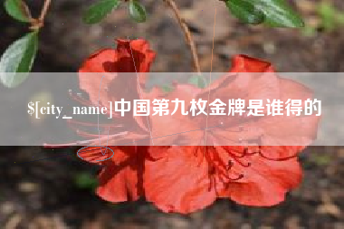宜春中国第九枚金牌是谁得的