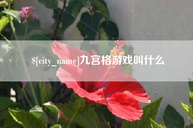 宜春九宫格游戏叫什么