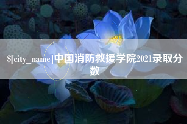 宜春中国消防救援学院2021录取分数