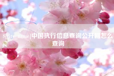 宜春中国执行信息查询公开网怎么查询