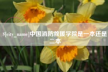 宜春中国消防救援学院是一本还是二本