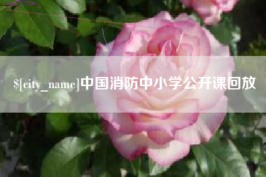 宜春中国消防中小学公开课回放