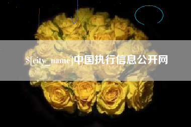 宜春中国执行信息公开网