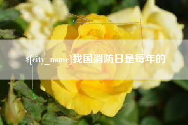 宜春我国消防日是每年的