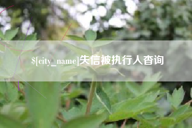 宜春失信被执行人杳询