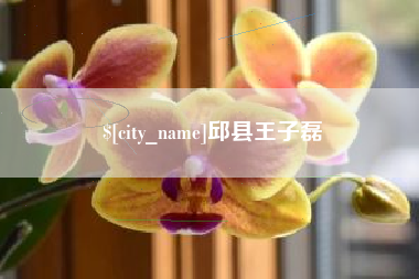 宜春邱县王子磊