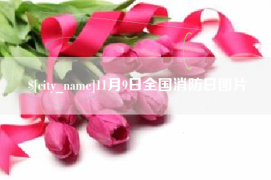 宜春11月9日全国消防日图片