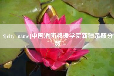 宜春中国消防救援学院新疆录取分数