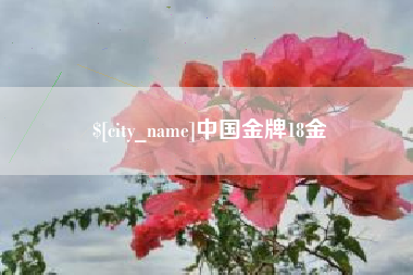 宜春中国金牌18金