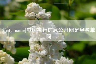 宜春中国执行信息公开网是黑名单吗