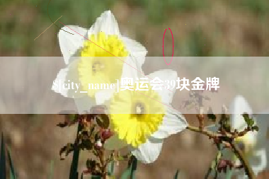 宜春奥运会39块金牌