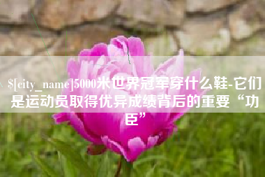 宜春5000米世界冠军穿什么鞋-它们是运动员取得优异成绩背后的重要“功臣”