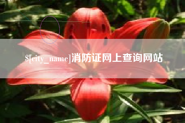 宜春消防证网上查询网站
