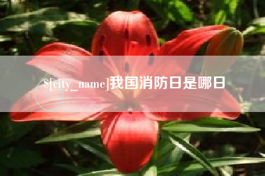 宜春我国消防日是哪日