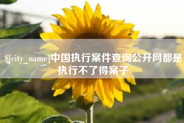 宜春中国执行案件查询公开网都是执行不了得案子