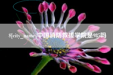 宜春中国消防救援学院是985吗