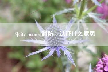 宜春消防ccc认证什么意思