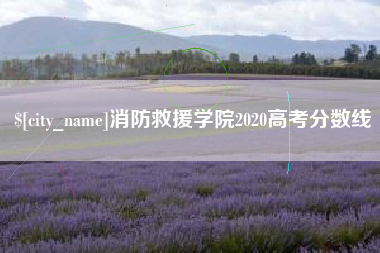 宜春消防救援学院2020高考分数线