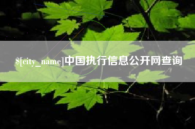 宜春中国执行信息公开网查询