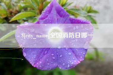 宜春全国消防日哪一