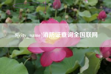 宜春消防证查询全国联网