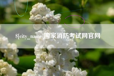 宜春国家消防考试网官网