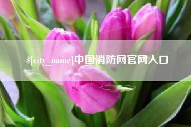 宜春中国消防网官网入口