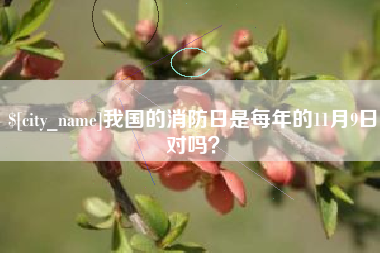 宜春我国的消防日是每年的11月9日对吗？