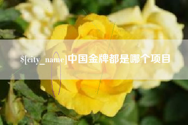 宜春中国金牌都是哪个项目