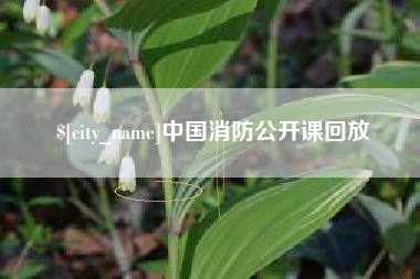 宜春中国消防公开课回放