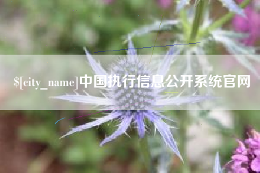 宜春中国执行信息公开系统官网