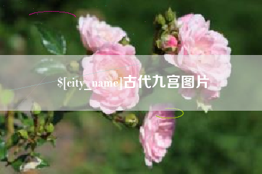 宜春古代九宫图片