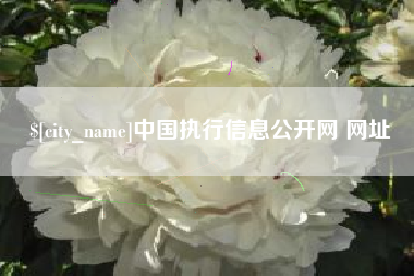 宜春中国执行信息公开网 网址