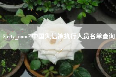 宜春中国失信被执行人员名单查询
