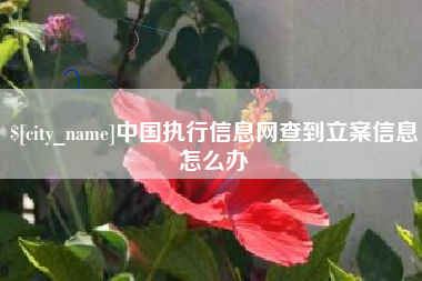 宜春中国执行信息网查到立案信息怎么办