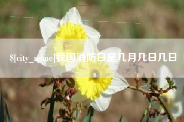 宜春我国消防日是几月几日几日