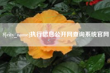 宜春执行信息公开网查询系统官网