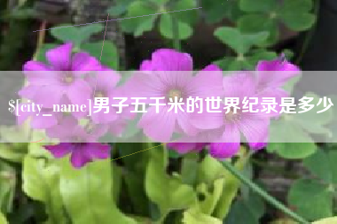 宜春男子五千米的世界纪录是多少