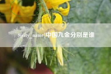 宜春中国九金分别是谁
